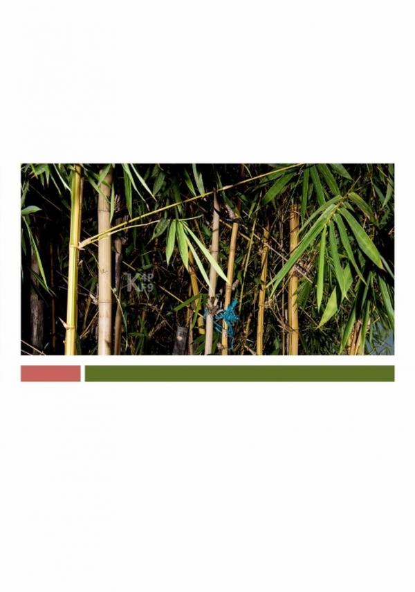 Bluephoto-22-藍攝-22-小楓Oscar